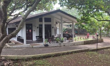 For sale, Spacious House in Jagakarsa, South Jakarta, Price below NJOP