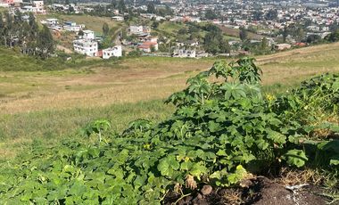 HERMOSO TERRENO EN VENTA - YARUQUI