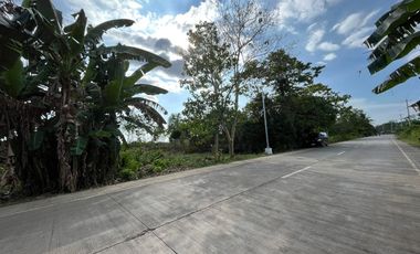 COMMERCIAL LOT FOR SALE LOCATED AT BOLOD, PANGLAO, BOHOL