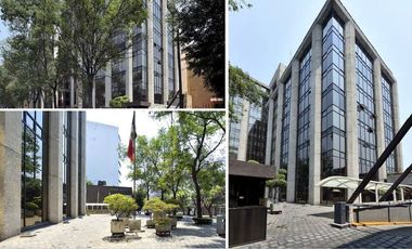 Oficinas en renta y Venta en Plaza Victoria