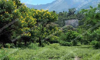 lote copacabana