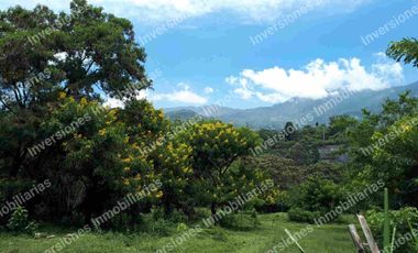 lote copacabana