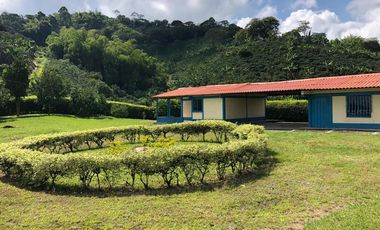 VENDO FINCA PRODUCTIVA EN FILANDIA QUINDIO 18 CUADRAS SE RECIBE ALGO EN PERMUTA
