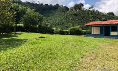 VENDO FINCA PRODUCTIVA EN FILANDIA QUINDIO 18 CUADRAS SE RECIBE ALGO EN PERMUTA