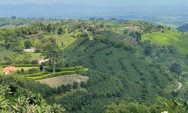VENDO FINCA PRODUCTIVA EN FILANDIA QUINDIO 18 CUADRAS SE RECIBE ALGO EN PERMUTA