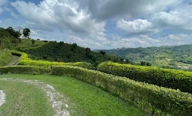 VENDO FINCA PRODUCTIVA EN FILANDIA QUINDIO 18 CUADRAS SE RECIBE ALGO EN PERMUTA