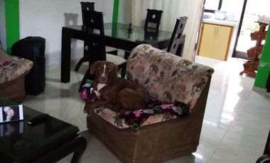 VENDO FINCA PRODUCTIVA EN FILANDIA QUINDIO 18 CUADRAS SE RECIBE ALGO EN PERMUTA