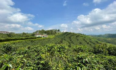 VENDO FINCA PRODUCTIVA EN FILANDIA QUINDIO 18 CUADRAS SE RECIBE ALGO EN PERMUTA