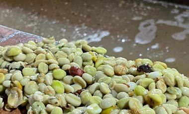 VENDO FINCA PRODUCTIVA EN FILANDIA QUINDIO 18 CUADRAS SE RECIBE ALGO EN PERMUTA