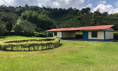 VENDO FINCA PRODUCTIVA EN FILANDIA QUINDIO 18 CUADRAS SE RECIBE ALGO EN PERMUTA