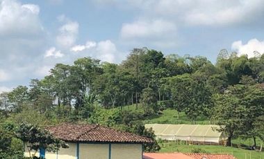 VENDO FINCA PRODUCTIVA EN FILANDIA QUINDIO 18 CUADRAS SE RECIBE ALGO EN PERMUTA