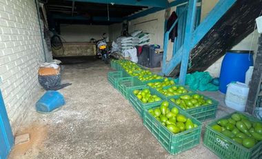 VENDO FINCA PRODUCTIVA EN FILANDIA QUINDIO 18 CUADRAS SE RECIBE ALGO EN PERMUTA