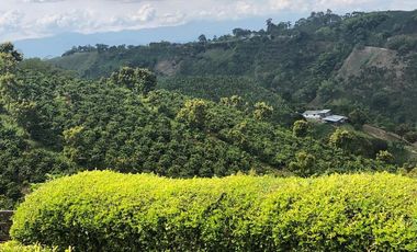 VENDO FINCA PRODUCTIVA EN FILANDIA QUINDIO 18 CUADRAS SE RECIBE ALGO EN PERMUTA