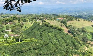 VENDO FINCA PRODUCTIVA EN FILANDIA QUINDIO 18 CUADRAS SE RECIBE ALGO EN PERMUTA