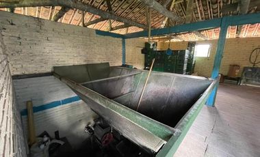 VENDO FINCA PRODUCTIVA EN FILANDIA QUINDIO 18 CUADRAS SE RECIBE ALGO EN PERMUTA