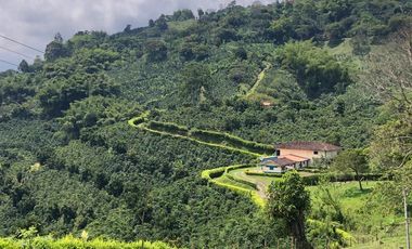 VENDO FINCA PRODUCTIVA EN FILANDIA QUINDIO 18 CUADRAS SE RECIBE ALGO EN PERMUTA