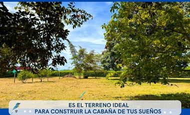 VENDO DOS LOTES ACACIAS META