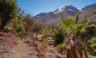 Venta de hermoso terreno en Horcón, Valle del Elqui, 7.200 m2, electricidad y agua potable. 5.350 UF