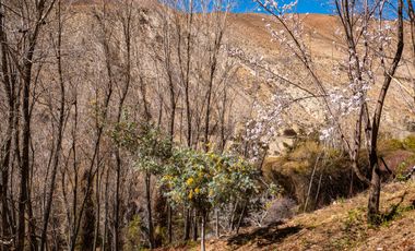 Venta de hermoso terreno en Horcón, Valle del Elqui, 7.200 m2, electricidad y agua potable. 5.350 UF