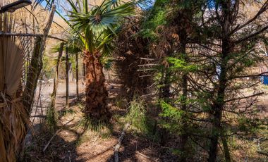 Venta de hermoso terreno en Horcón, Valle del Elqui, 7.200 m2, electricidad y agua potable. 5.350 UF