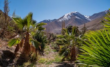 Venta de hermoso terreno en Horcón, Valle del Elqui, 7.200 m2, electricidad y agua potable. 5.350 UF