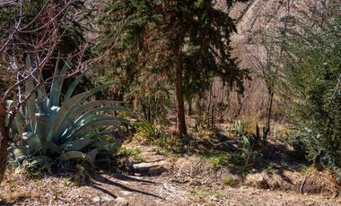 Venta de hermoso terreno en Horcón, Valle del Elqui, 7.200 m2, electricidad y agua potable. 5.350 UF