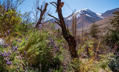 Venta de hermoso terreno en Horcón, Valle del Elqui, 7.200 m2, electricidad y agua potable. 5.350 UF