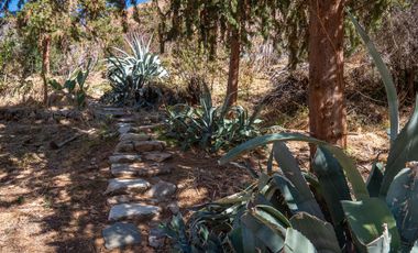 Venta de hermoso terreno en Horcón, Valle del Elqui, 7.200 m2, electricidad y agua potable. 5.350 UF