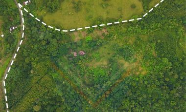 venta de finca con madera teca