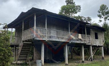 venta de finca con madera teca