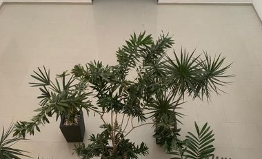 RENTA DEPARTAMENTO EN LA 6a DE LOMAS VERDES