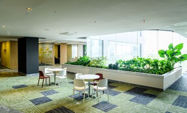 RENTA DE OFICINAS Y CONSULTORIOS EN VÍA ATLIXCAYOTL