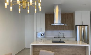 Departamento amueblado en renta Alatorre 1122 piso 12
