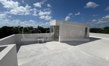 DISEÑO MAYA 