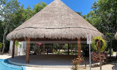 DISEÑO MAYA 