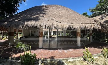 DISEÑO MAYA 