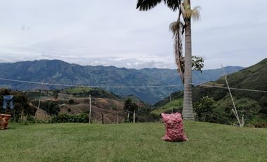 Venta Finca Agrícola San Vicente Antioquia