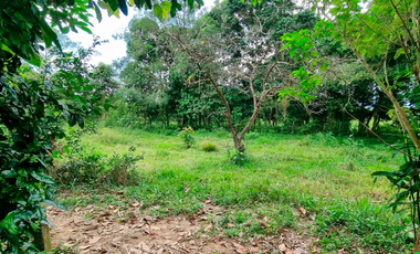 SE VENDE TERRENO EN ACACIAS