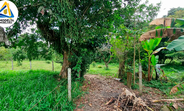 SE VENDE TERRENO EN ACACIAS