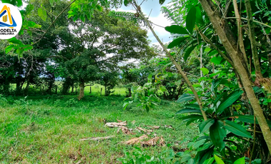 SE VENDE TERRENO EN ACACIAS