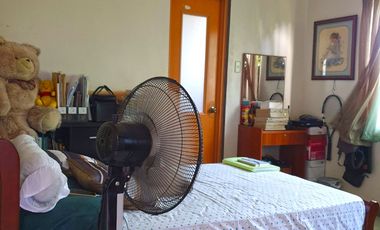 House for Sale 5 Bedroom in Dumaguete City