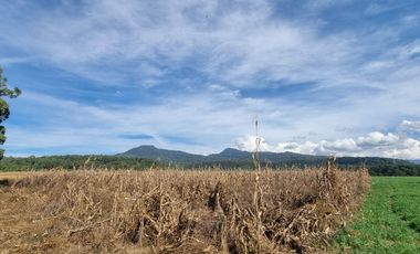 TERRENO EN VENTA, EN EL CASTELLANO