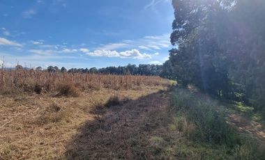 TERRENO EN VENTA, EN EL CASTELLANO