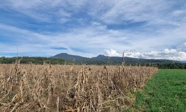 TERRENO EN VENTA, EN EL CASTELLANO