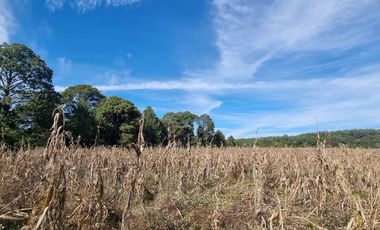 TERRENO EN VENTA, EN EL CASTELLANO