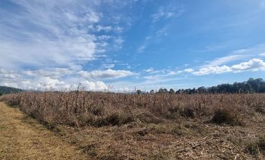 TERRENO EN VENTA, EN EL CASTELLANO