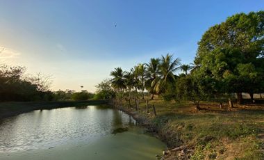 Se Vende Casa Finca Exclusiva Monteria