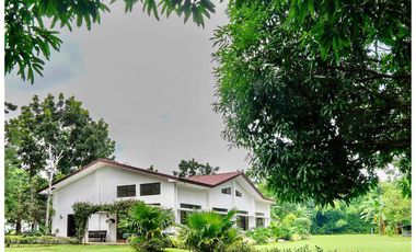 Airbnb Ready, 1.5 Hectare Farm Lot in Sto. Tomas, Batangas PRICE DROP!