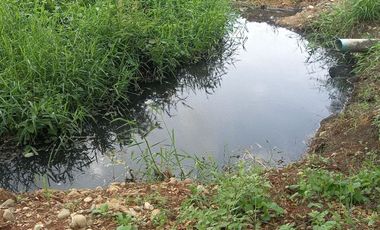 FINCA SEMBRADA EN CAÑA, VILLA RICA. CAUCA