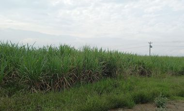 FINCA SEMBRADA EN CAÑA, VILLA RICA. CAUCA